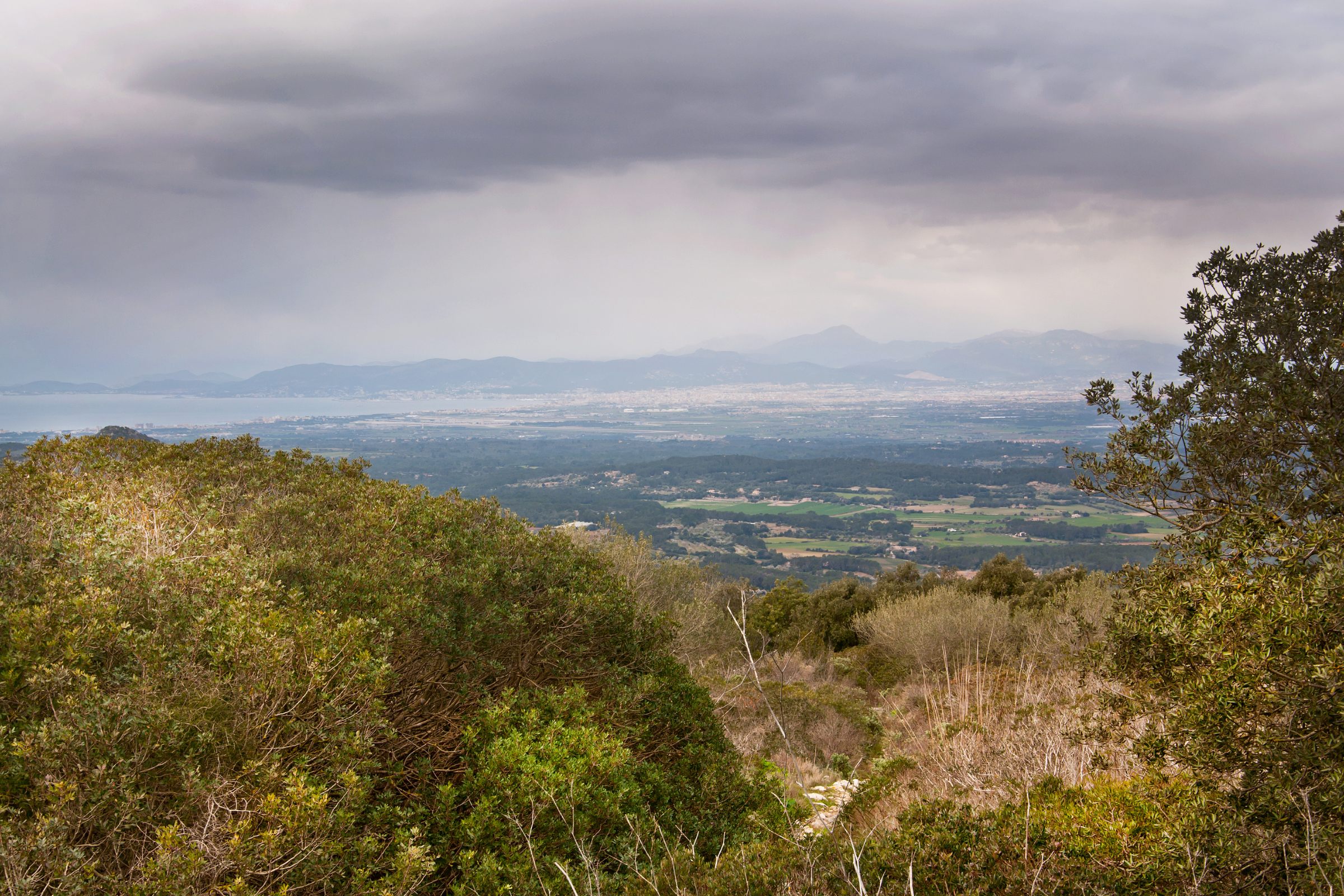 Randa[1].webp
